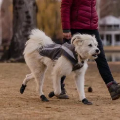 Ruffwear Lumenglow High-Vis Dog Jacket, Granite Gray -Garden Supplies Sales 2024 WebJPG 0577 Lumenglow Gray Caroline Atka Print 76 640x 90463.1635028139