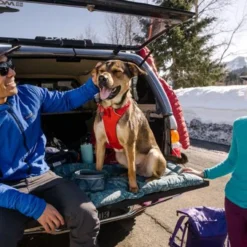 Ruffwear Basecamp Dog Bed, Tidal Teal -Garden Supplies Sales 2024 WebJPG 1045 Basecamp Bed Davis Washington Print 15 640x 60472.1635364557