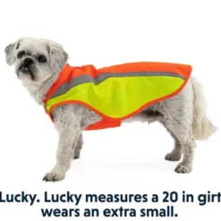 Ruffwear Lumenglow High-Vis Dog Jacket, Blaze Orange -Garden Supplies Sales 2024 Website Gear on Dogs Sizing Lumenglow XS 640x 09256.1635030388