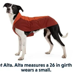 Ruffwear Vert Dog Jacket, Canyonlands Orange -Garden Supplies Sales 2024 Website Gear on Dogs Sizing Vert Small 640x 35153.1635118511