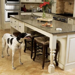 PetSafe Pawz Away® Extra Indoor Pet Barrier Transmitter -Garden Supplies Sales 2024 ZND 1000 e3 22528.1649984929