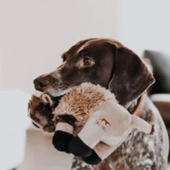 Tall Tails Plush Buffalo Squeaker Toy, 9in 7 Tall Tails Plush Buffalo Squeaker Toy, 9in -Garden Supplies Sales 2024 adventure.among .the 3 93848.1665880027