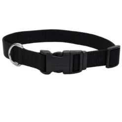 Coastal Adjustable Dog Collar With Plastic Buckle, 1in X 20in