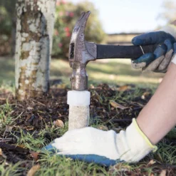 Jobes Fertilizer Fruit Tree Spikes, 5 PC -Garden Supplies Sales 2024 blob 00470.1622066512