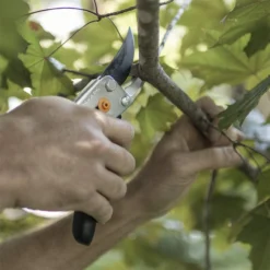Fiskars Steel Pruning Shears Bypass Pruner -Garden Supplies Sales 2024 blob 04585.1616272852