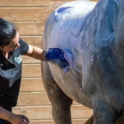 Cowboy Magic Yellow Out Pet Shampoo, 16oz -Garden Supplies Sales 2024 blob 08075.1618503707