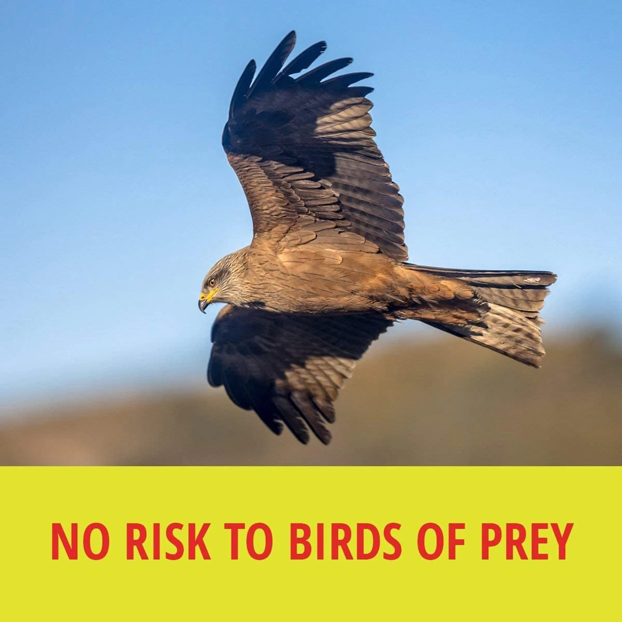 RatX All-Natural Non-Toxic Rat And Mouse Killer Pellets, 1 Lb 8 RatX All-Natural Non-Toxic Rat And Mouse Killer Pellets, 1 Lb - Image 6