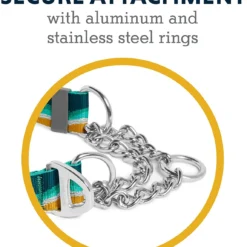 Ruffwear Chain Reaction Dog Collar, SeaFoam -Garden Supplies Sales 2024 blob 11550.1620664483