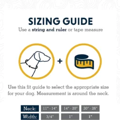 Ruffwear Chain Reaction Dog Collar, Sunset -Garden Supplies Sales 2024 blob 15932.1620663821