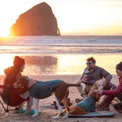 Ruffwear Mt. Bachelor Pad Portable Dog Bed -Garden Supplies Sales 2024 blob 21188.1620242107