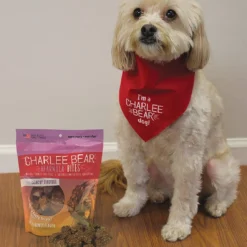 Charlee Bear Bearnola Bites Crunchy Clusters, Peanut Butter & Honey -Garden Supplies Sales 2024 blob 21359.1619126967