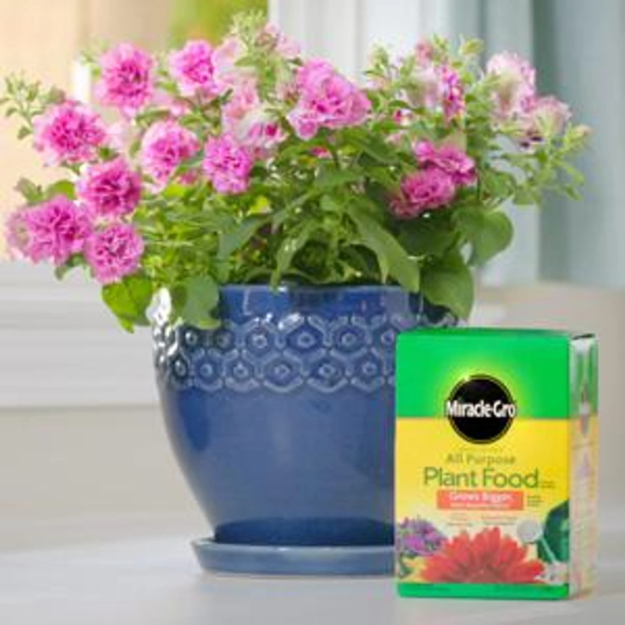 Miracle-Gro Water Soluble All Purpose Plant Food, 8 Oz 7 Miracle-Gro Water Soluble All Purpose Plant Food, 8 Oz - Image 5