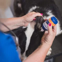 Vetericyn Plus Ear Rinse, 3oz -Garden Supplies Sales 2024 blob 24132.1617748880