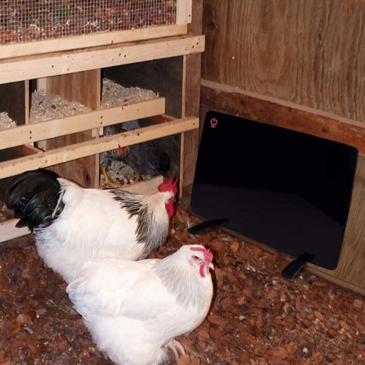 Cozy Products Cozy Safe Chicken Coop Heater 200 Watts 5 Cozy Products Cozy Safe Chicken Coop Heater 200 Watts - Image 3