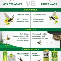 Rescue Yellowjacket Traps -Garden Supplies Sales 2024 blob 28591.1616781281