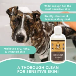 Natural Dog Co. Sensitive Skin Shampoo, 12oz 11 Natural Dog Co. Sensitive Skin Shampoo, 12oz -Garden Supplies Sales 2024 blob 39397.1623453218