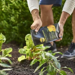 Miracle-Gro Performance Organics All Purpose Plant Nutrition Granules -Garden Supplies Sales 2024 blob 44952.1620862216