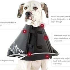 Comfy Cone, Black -Garden Supplies Sales 2024 blob 45087.1614188937