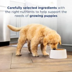 Natural Balance Puppy L.I.D. Salmon And Brown Rice, 24lb -Garden Supplies Sales 2024 blob 53298.1622154790