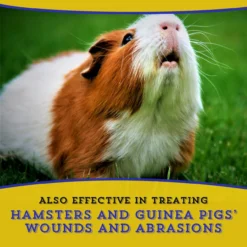 Dr. Naylor Dressing Blu-Kote Aerosol Antiseptic Wound, 4.5oz -Garden Supplies Sales 2024 blob 53775.1617753329