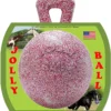 10" Jolly Ball, Peppermint -Garden Supplies Sales 2024 blob 54433.1619124538