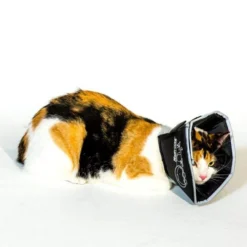 Comfy Cone, Black -Garden Supplies Sales 2024 blob 54653.1614188936