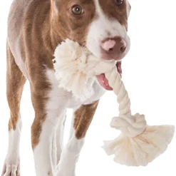 Mammoth White Rope Bone, 16 Inch -Garden Supplies Sales 2024 blob 55052.1614127044