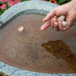 Summit Mosquito Dunks 1Mosquito Killer, 2 Pk -Garden Supplies Sales 2024 blob 55584.1616782894