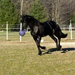 10" Jolly Ball, Peppermint -Garden Supplies Sales 2024 blob 56690.1619124538