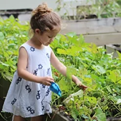 Down To Earth Organic Bio-Turf Fertilizer Mix 8-3-5, 6 Lb -Garden Supplies Sales 2024 blob 57023.1614291632