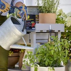 Miracle-Gro Performance Organics Edibles Plant Nutrition -Garden Supplies Sales 2024 blob 58272.1620853308