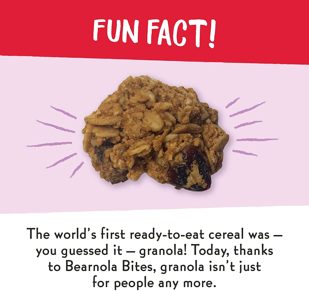 Charlee Bear Bearnola Bites Crunchy Clusters Natural Treats , Cranberry Cobbler 6 Charlee Bear Bearnola Bites Crunchy Clusters Natural Treats , Cranberry Cobbler - Image 4