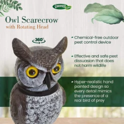 Dalen Natural Enemy Scarecrow Rotating Head Owl, Brown -Garden Supplies Sales 2024 blob 58612.1616791492