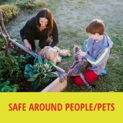 RatX All-Natural Non-Toxic Rat And Mouse Killer Pellets, 1 Lb 17 RatX All-Natural Non-Toxic Rat And Mouse Killer Pellets, 1 Lb -Garden Supplies Sales 2024 blob 58632.1619025808