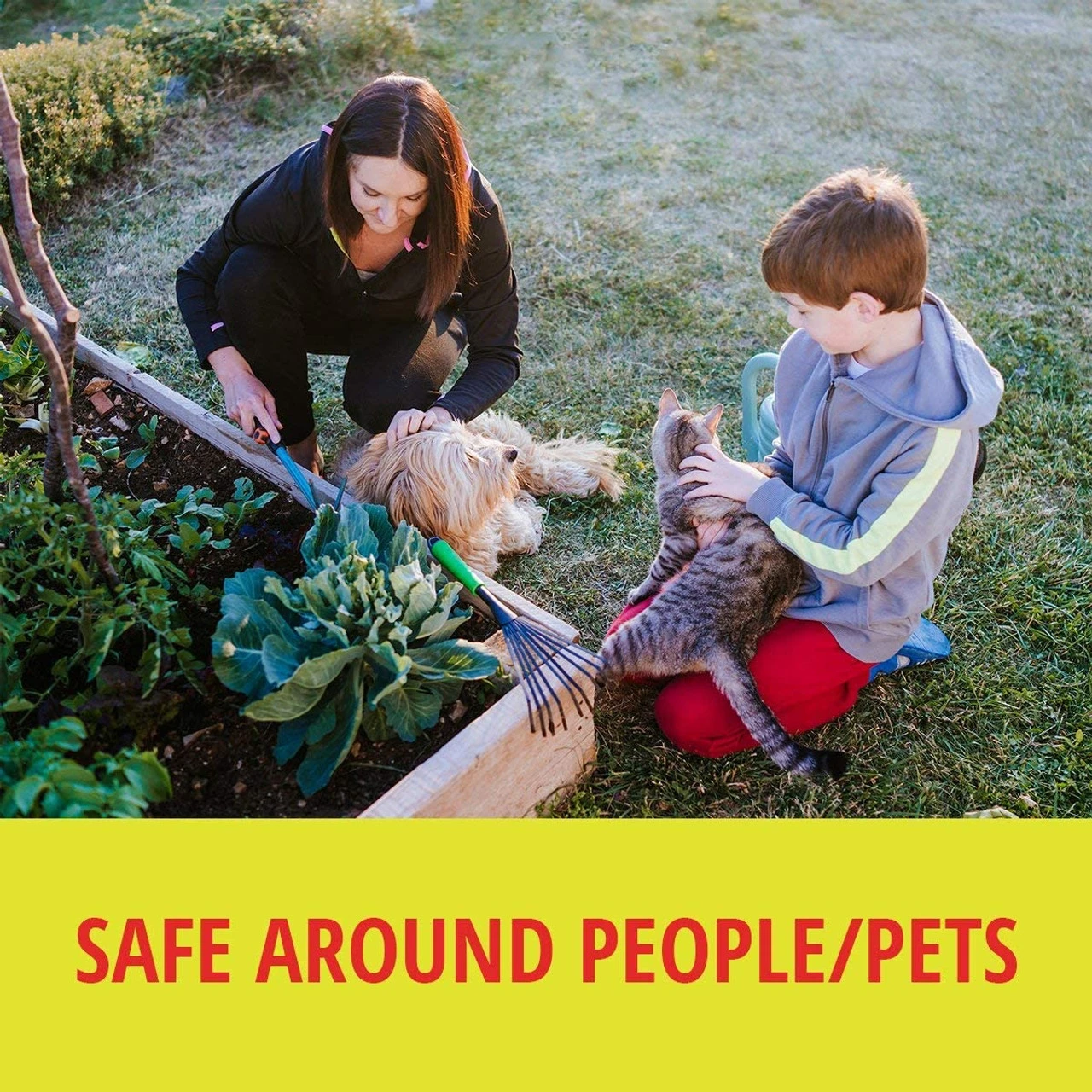 RatX All-Natural Non-Toxic Rat And Mouse Killer Pellets, 1 Lb 10 RatX All-Natural Non-Toxic Rat And Mouse Killer Pellets, 1 Lb - Image 8