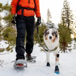 Ruffwear Polar Trex Winter Dog Boots, Black -Garden Supplies Sales 2024 blob 58870.1620673549
