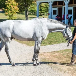 Cowboy Magic Yellow Out Pet Shampoo, 16oz -Garden Supplies Sales 2024 blob 59970.1618503707