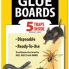 Harris GB-5 Mouse & Rat Trap -Garden Supplies Sales 2024 blob 62043.1616717855