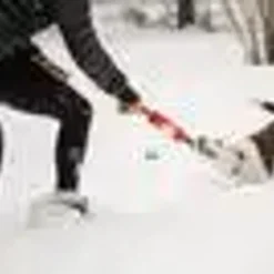 Ruffwear Pacific Loop Toy, Sockeye Red 7 Ruffwear Pacific Loop Toy, Sockeye Red -Garden Supplies Sales 2024 blob 62903.1620665980