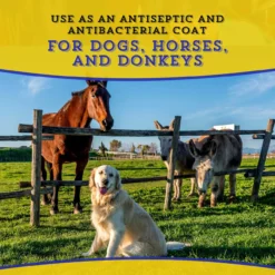 Dr. Naylor Dressing Blu-Kote Aerosol Antiseptic Wound, 4.5oz -Garden Supplies Sales 2024 blob 62995.1617753329