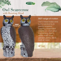 Dalen Natural Enemy Scarecrow Rotating Head Owl, Brown -Garden Supplies Sales 2024 blob 65180.1616791493