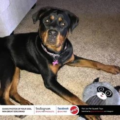 Ethical Pet Flat Jax Assorted, 13 Inch -Garden Supplies Sales 2024 blob 65954.1614209042