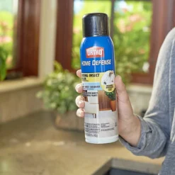 Ortho Home Defense Flying Insect Killer Aerosol 16 Oz -Garden Supplies Sales 2024 blob 67808.1619547863
