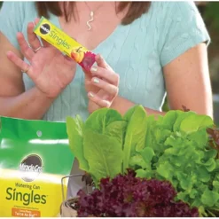 Miracle-Gro Watering Can Singles -Garden Supplies Sales 2024 blob 69119.1620845590