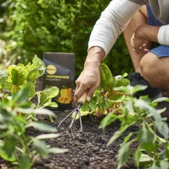 Miracle-Gro Performance Organics All Purpose Plant Nutrition Granules -Garden Supplies Sales 2024 blob 69639.1620862217