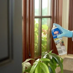 Ortho Home Defense Flying Insect Killer Aerosol 16 Oz -Garden Supplies Sales 2024 blob 70178.1619547863