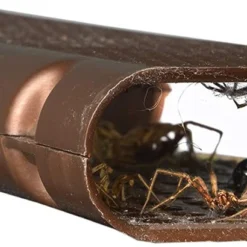 Rescue Spider Traps Ready To Use, Double-Sided, 3pk -Garden Supplies Sales 2024 blob 70380.1616775127