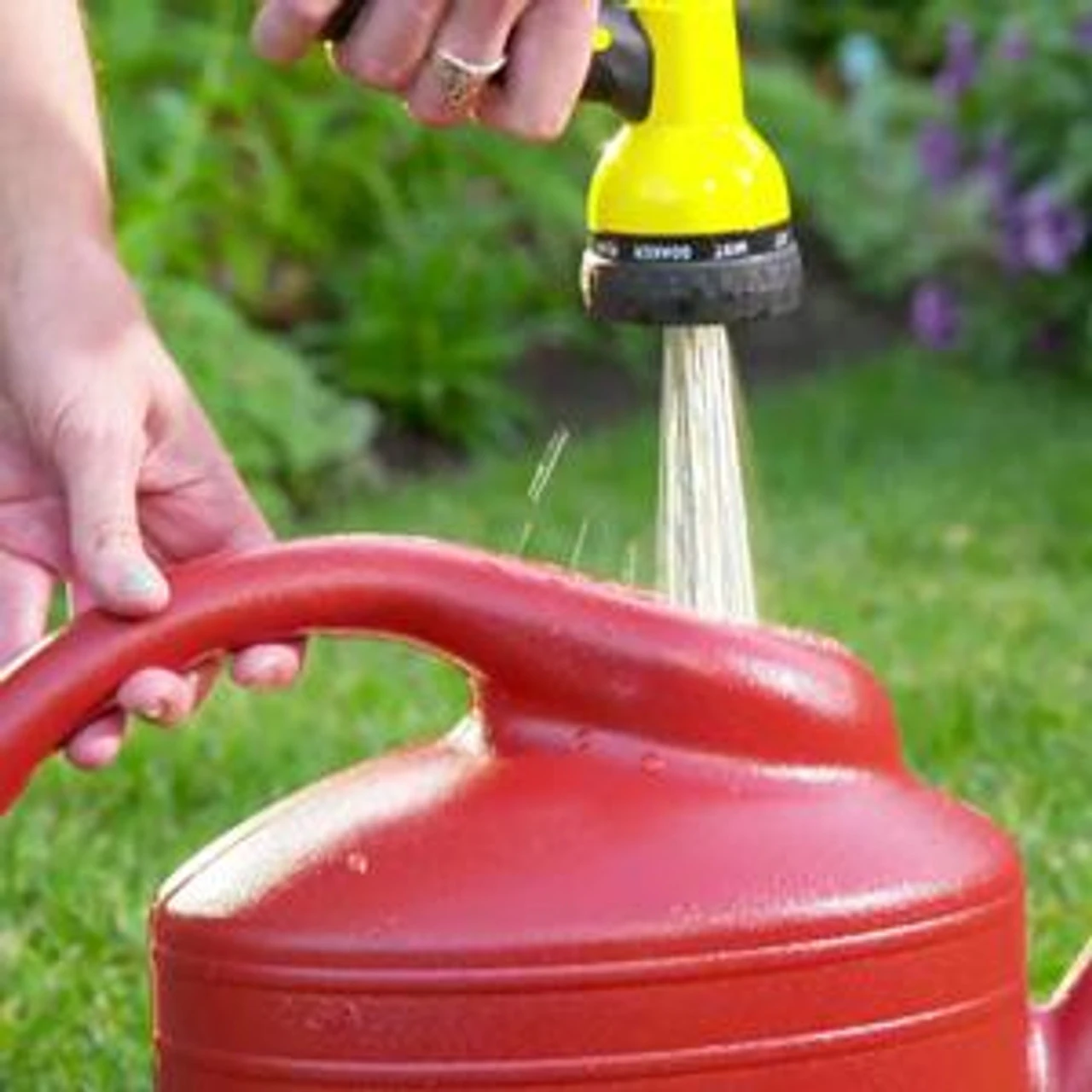 Miracle-Gro Water Soluble All Purpose Plant Food, 8 Oz 5 Miracle-Gro Water Soluble All Purpose Plant Food, 8 Oz - Image 3