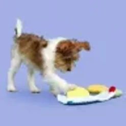 Front Page -Garden Supplies Sales 2024 blob 73264.1631129046