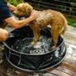 Doog Pop Up Pool -Garden Supplies Sales 2024 blob 73457.1630709552